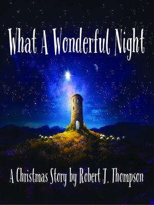 cover image of What a Wonderful Night